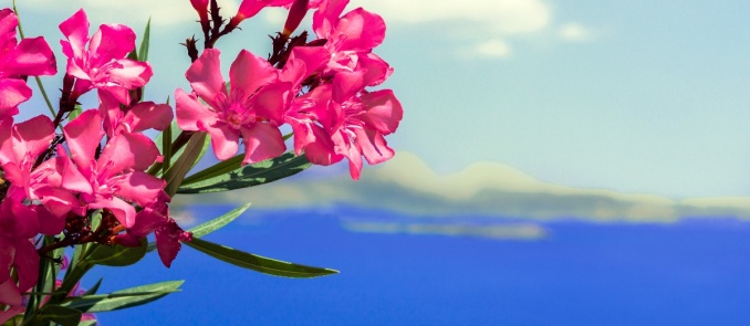 The top travel experiences to welcome spring in Greece